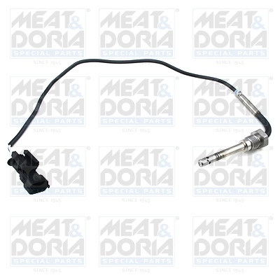 Sensor, exhaust gas temperature